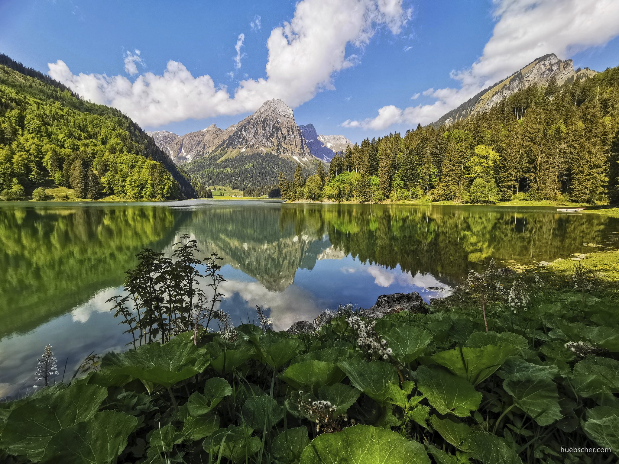 Obersee 20200509 102819