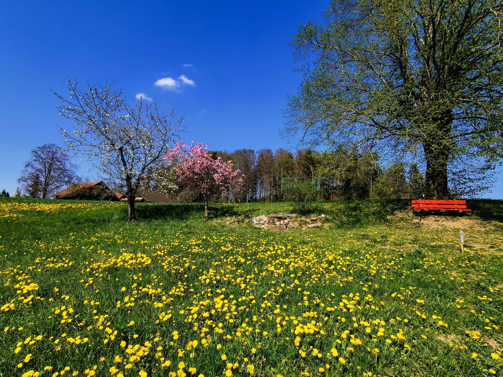 Braestberg 20200411 153204